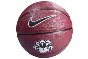 Nike Mini Basketball