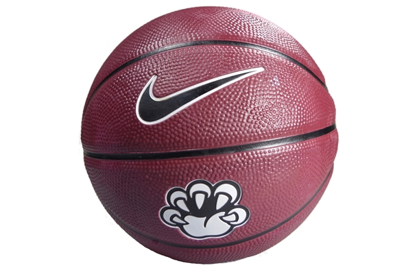 nike mini basketball