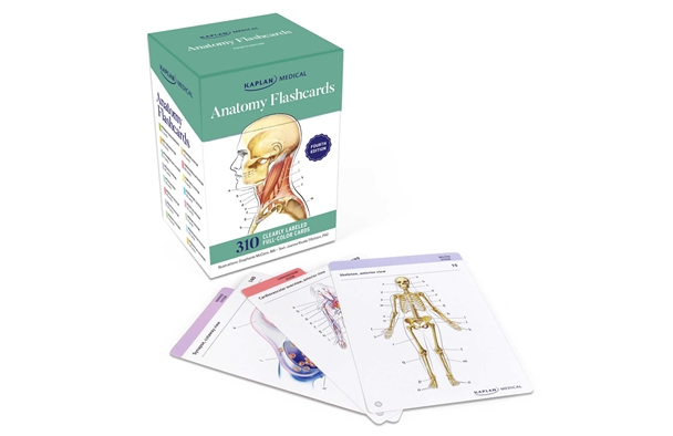 ANATOMY FLASHCARDS: 300 FLASHCARDS