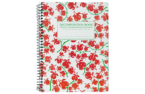 DecompNotebook