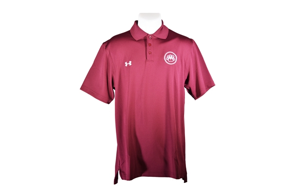 UA Men's Team Polo