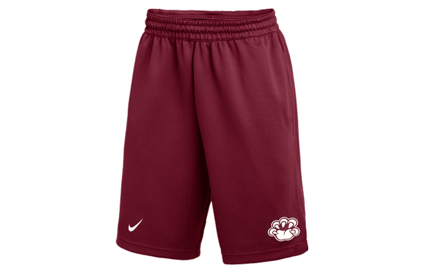 Nike Fly Shorts
